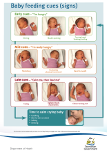 Thumbnail image of a poster outlining your baby's feeding cues and what they look like.